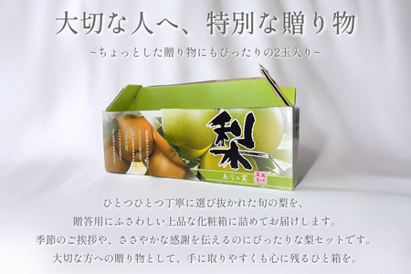 中野農園 梨 ”王秋梨” 2玉入り｜鳥取 岩美 梨 なし ナシ【41015】