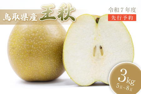中野農園 梨 ”王秋梨” 3kg箱｜鳥取 岩美 梨 なし ナシ【41016】