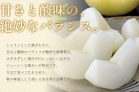 Amazon.co.jp: 低農薬 鳥取産 新興梨 約4.5kg 訳あり 10〜14玉入