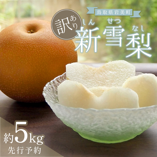 （訳あり）中野農園 梨 ”新雪梨” 5kg箱｜鳥取 岩美 梨 なし ナシ 赤梨 果物 フルーツ【41046】