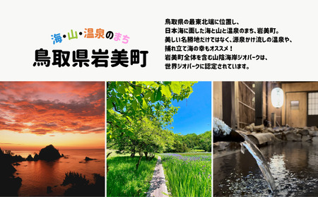 【返礼品なし】鳥取県岩美町へのご寄附 (1口:2,000円)|鳥取 岩美【99999】