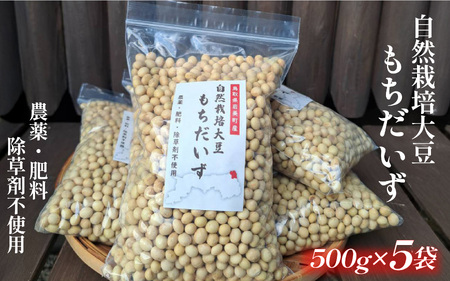 自然栽培大豆 もち大豆 500g×5個|鳥取 岩美町産 大豆 無農薬 乾燥大豆【32006】