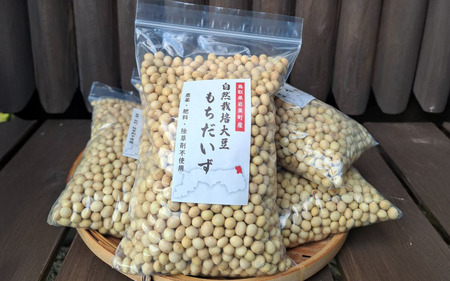 自然栽培大豆 もち大豆 500g×5個|鳥取 岩美町産 大豆 無農薬 乾燥大豆【32006】