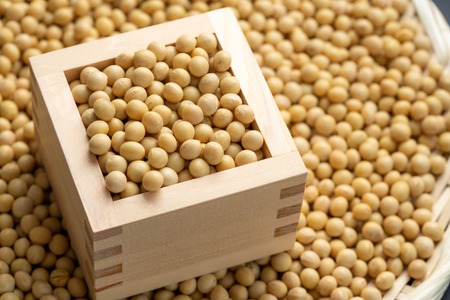 自然栽培大豆 もち大豆 500g×5個|鳥取 岩美町産 大豆 無農薬 乾燥大豆【32006】