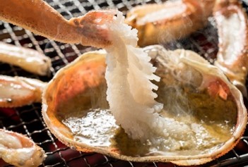 【22014】鳥取県網代産 松葉がに（ブランドタグ付き）500g以上（生）