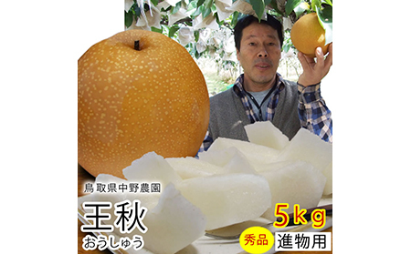 【41011】【中野農園】王秋梨 5kgセット（5-9玉）ご進物用