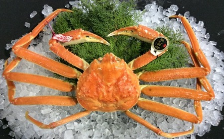 五輝星ボイル松葉ガニ（特々大1.2kg）数量限定品 【魚倉】[166-2]