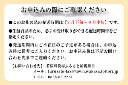 222-W22．【先行予約】農家さん応援！　訳あり　新甘泉（しんかんせん）　3kg前後