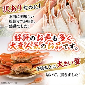 鳥取県産ボイル松葉ガニ訳あり!　2枚セット【配送不可地域：離島・北海道・沖縄県】【1536355】