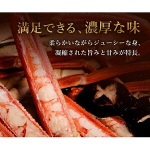 【蟹セレブ】ズワイガニ(紅ズワイガニ)大1杯(500～600g×1)【配送不可地域：離島・北海道・沖縄県・東北・関東・信越、北陸・東海・九州】【1543623】