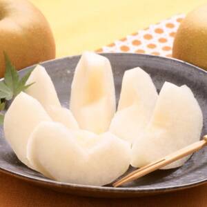 【訳あり】鳥取県産旬の梨セット 4kg【配送不可地域：離島・北海道・沖縄県】【1554510】