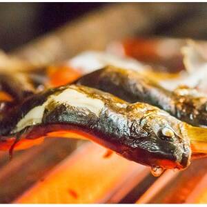 【みたき園】お食事券 杉コースお二人様分【1566661】