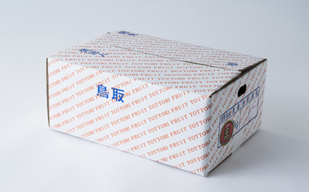 プレミアム新甘泉 3kg【配送不可地域:離島・北海道・沖縄県】【1593374】