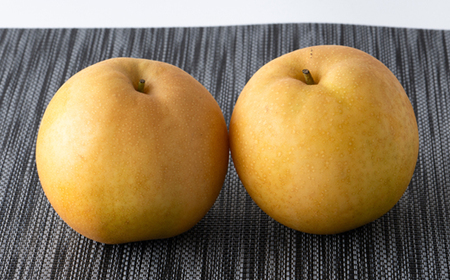 新甘泉【配送不可地域:離島・北海道・沖縄県】【1601417】