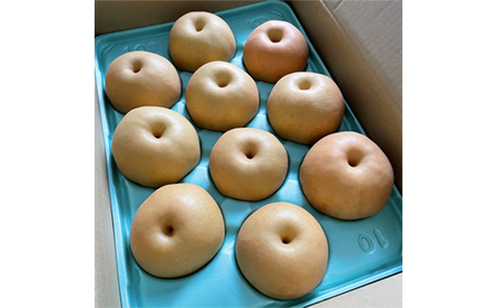 新甘泉【配送不可地域:離島・北海道・沖縄県】【1601417】