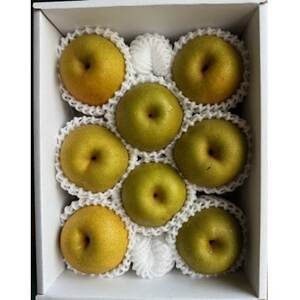 新甘泉 ハーフ箱【配送不可地域:離島・北海道・沖縄県】【1601418】