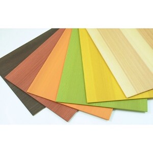 智頭杉　ランチョンマット(モカ)2枚セット【1222292】