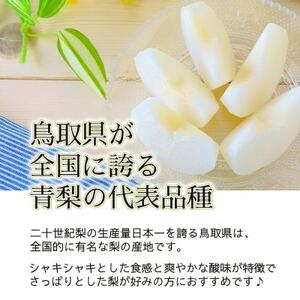 2026年8月下旬から9月上旬発送予定/二十世紀梨【青梨】5kgセット　ふるさと鳥取の自慢の梨です!【1627103】