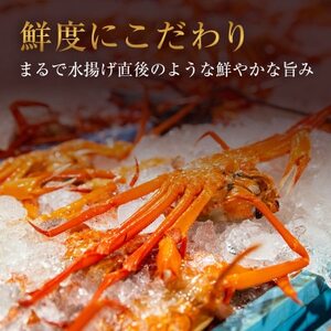 【蟹セレブ】カット生紅ずわい蟹1.5kg【配送不可地域:離島】【1634153】