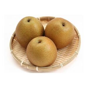 2025年発送【訳あり】王秋梨 4kg(4~13玉前後)【配送不可地域:離島・北海道・沖縄県】【1688922】