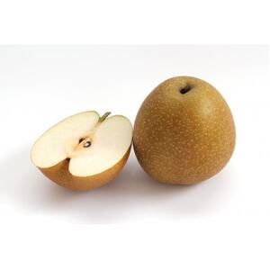 2025年発送【訳あり】王秋梨 4kg(4~13玉前後)【配送不可地域:離島・北海道・沖縄県】【1688922】