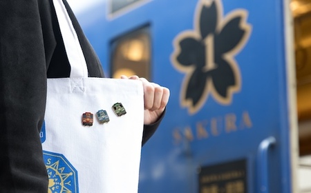 Y243 観光車両ピンバッジ