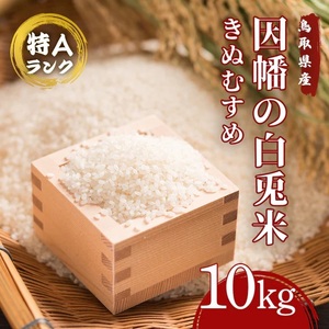 Y486 因幡の白兎米 きぬむすめ 令和7年産 精米済 10kg（5kg×2袋）