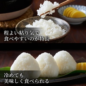 Y491 鳥取県産  ひとめぼれ 令和7年産 精米済 10kg（5kg×2袋）