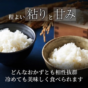 Y491 鳥取県産  ひとめぼれ 令和7年産 精米済 10kg（5kg×2袋）