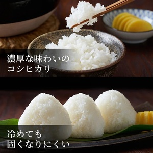 Y494 鳥取県産 コシヒカリ 令和7年産 精米済 20kg(5kg×4袋)