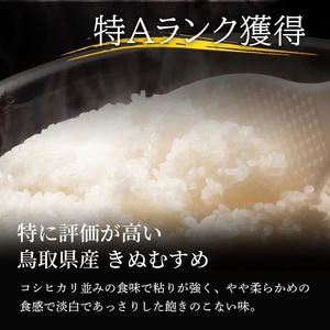 Y983 因幡の白兎米 きぬむすめ 令和7年産 精米済 20kg(5kg×4袋)