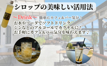 Y483 『特級 新甘泉』　梨シロップ　370m 2本セット 