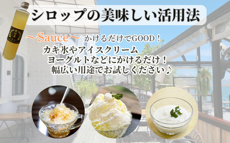 Y483 『特級 新甘泉』　梨シロップ　370m 2本セット 