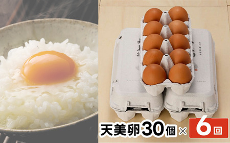 Y989 【6か月定期便】平飼い天美卵30個〈大江ノ郷自然牧場より直送〉