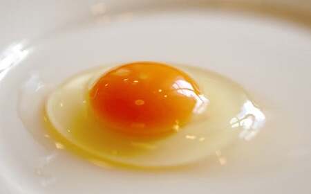 Y990 【3か月定期便】平飼い天美卵20個＆たまごかけご飯専用醤油「天のしずく」セット〈大江ノ郷自然牧場より直送〉