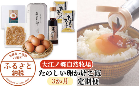 Y991 【3か月定期便】たのしい卵かけご飯定期便【平飼い卵】〈大江ノ郷自然牧場より直送〉