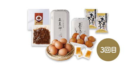 Y991 【3か月定期便】たのしい卵かけご飯定期便【平飼い卵】〈大江ノ郷自然牧場より直送〉
