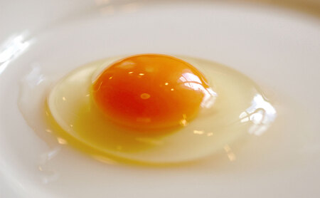 Y995 【打ち立てうどん＆平飼い天美卵入り】しあわせセット