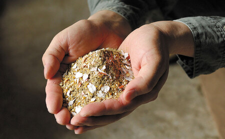 Y1000 平飼い天美卵20個〈大江ノ郷自然牧場より直送〉