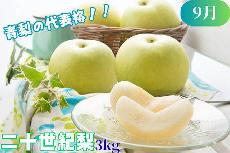 Y003 八頭の梨スペシャルコース【8月～11月/4回お届け】