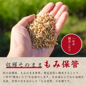 Y005 “土づくりの恵み” つやっつやの特別栽培米  12ヶ月お届けコース【コシヒカリ】