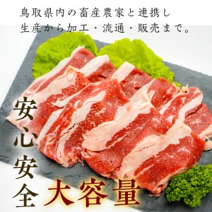 Y164 鳥取牛バラ800g
