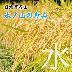 Y183 【令和7年産 新米】きぬむすめ15kg
