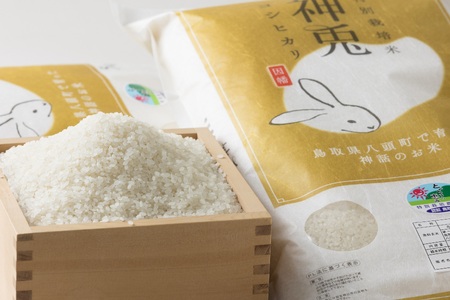 Y182 特別栽培米コシヒカリ20kg