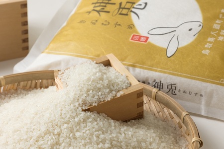 Y182 特別栽培米コシヒカリ20kg