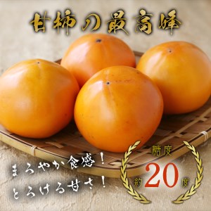 Y088 こおげ花御所柿 2kg | 鳥取県八頭町 | ふるさと納税サイト「ふる