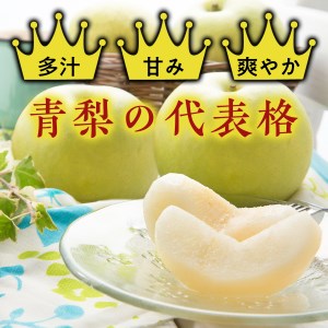 Y018 二十世紀梨(赤秀) 3kg