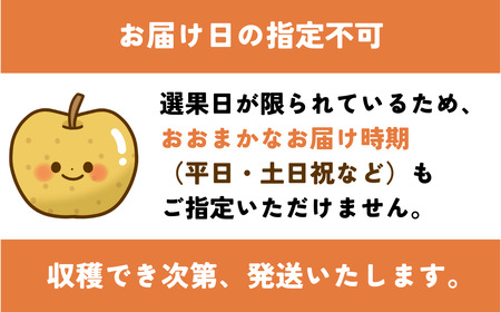 Y018 二十世紀梨(赤秀) 3kg