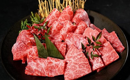 Y135 鳥取和牛 焼肉用特上赤身肉