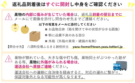 Y047【訳あり】鳥取県産旬の梨セット 4kg